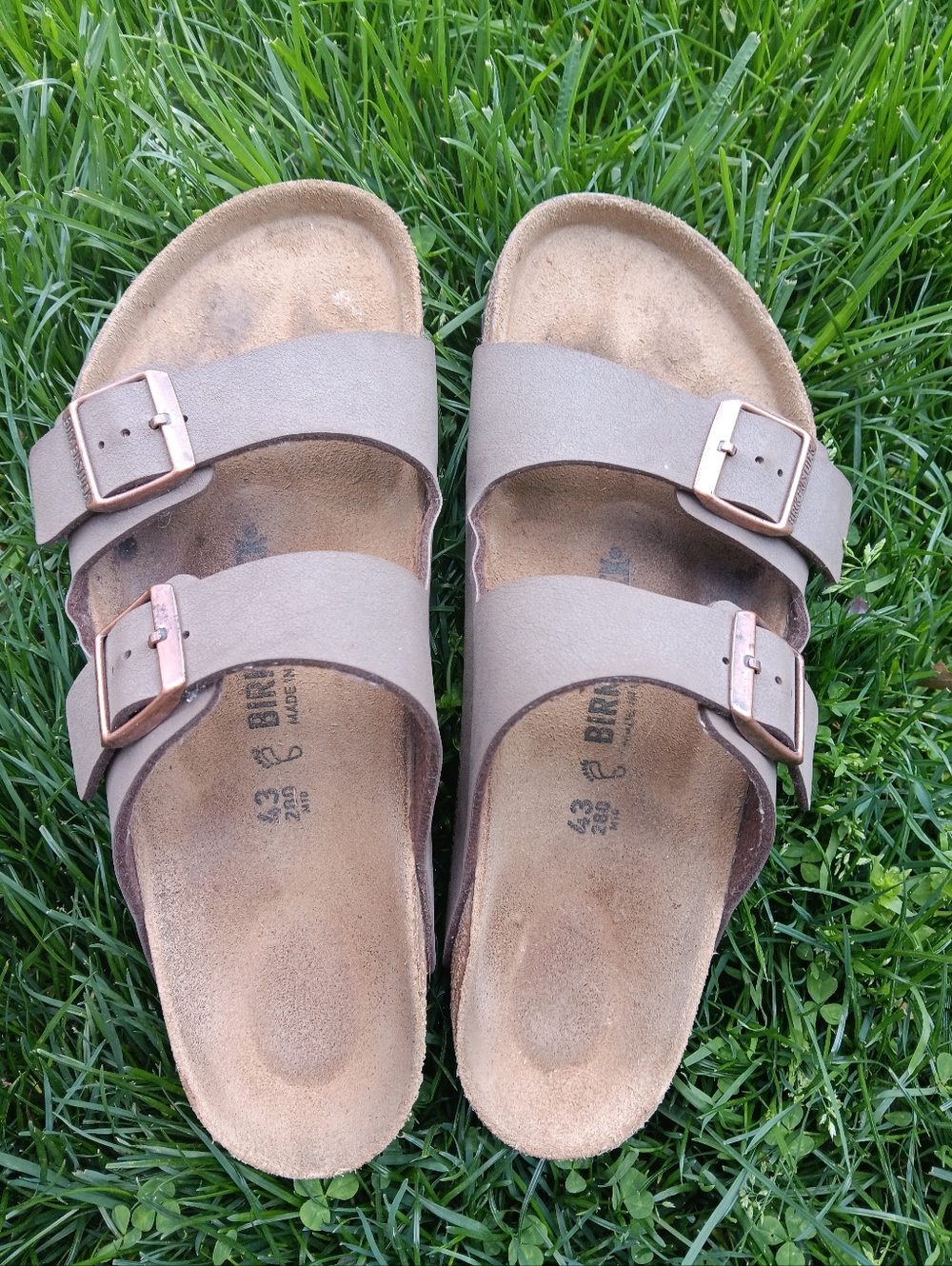 Birkenstock Arizona Two-Strap Sandals in Taupe